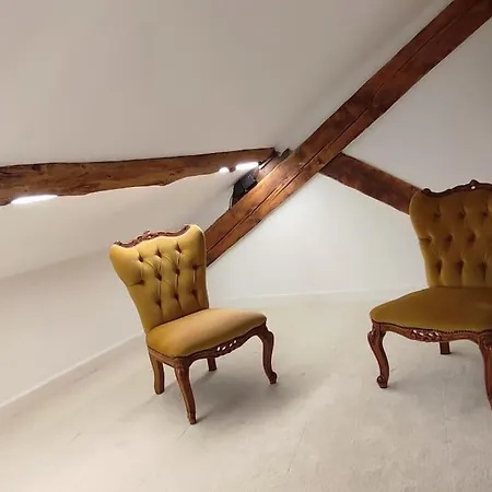 Magnifique Loft Renove-quartier Culturel - Bureau Apartamento Pau