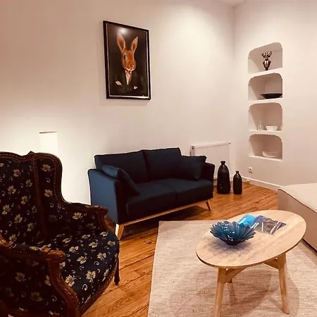 Magnifique Loft Renove-quartier Culturel - Bureau * Pau